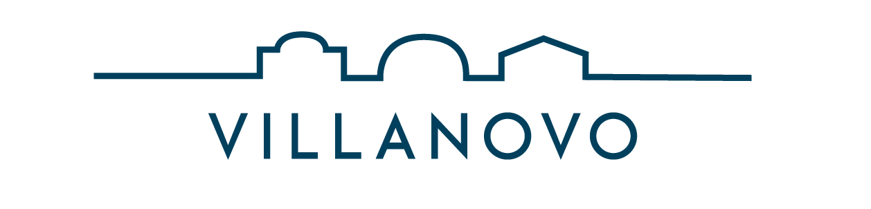 logo_vn_bleu-copie1-5x